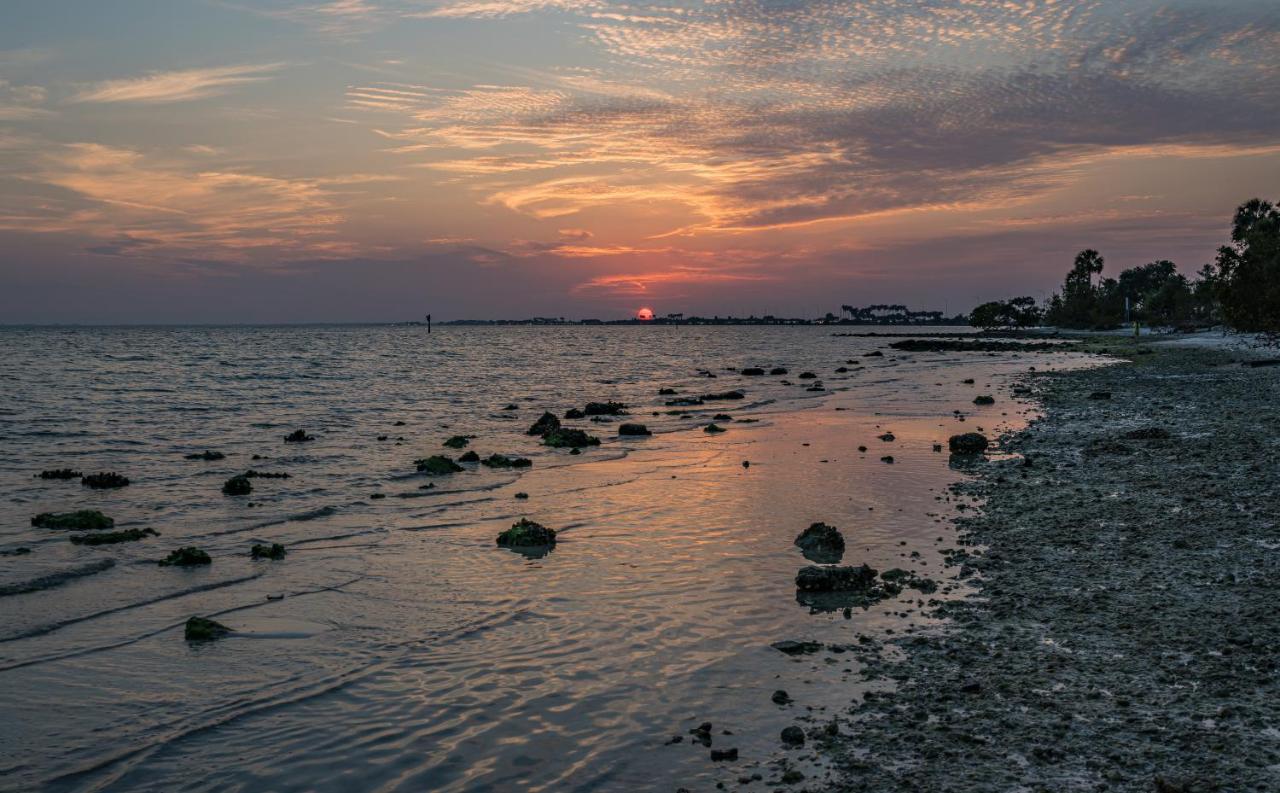 Bay Views From Your Balcony Beach Resort แทมปา ภายนอก รูปภาพ